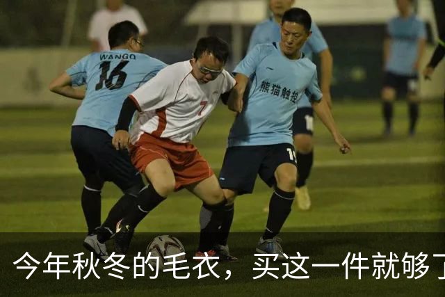 今年秋冬的毛衣，买这一件就够了！