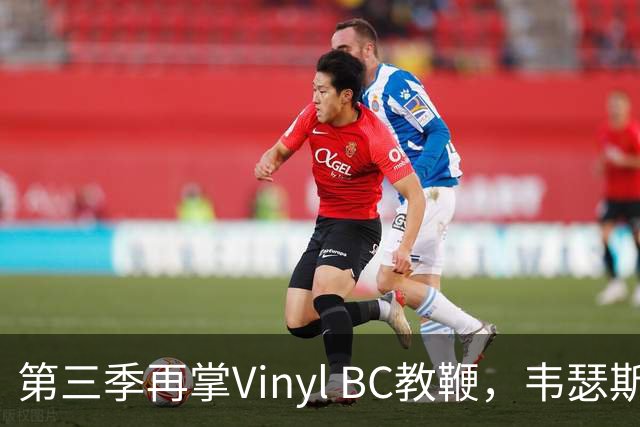 第三季再掌Vinyl BC教鞭，韦瑟斯庞能否打破两次冲冠未果